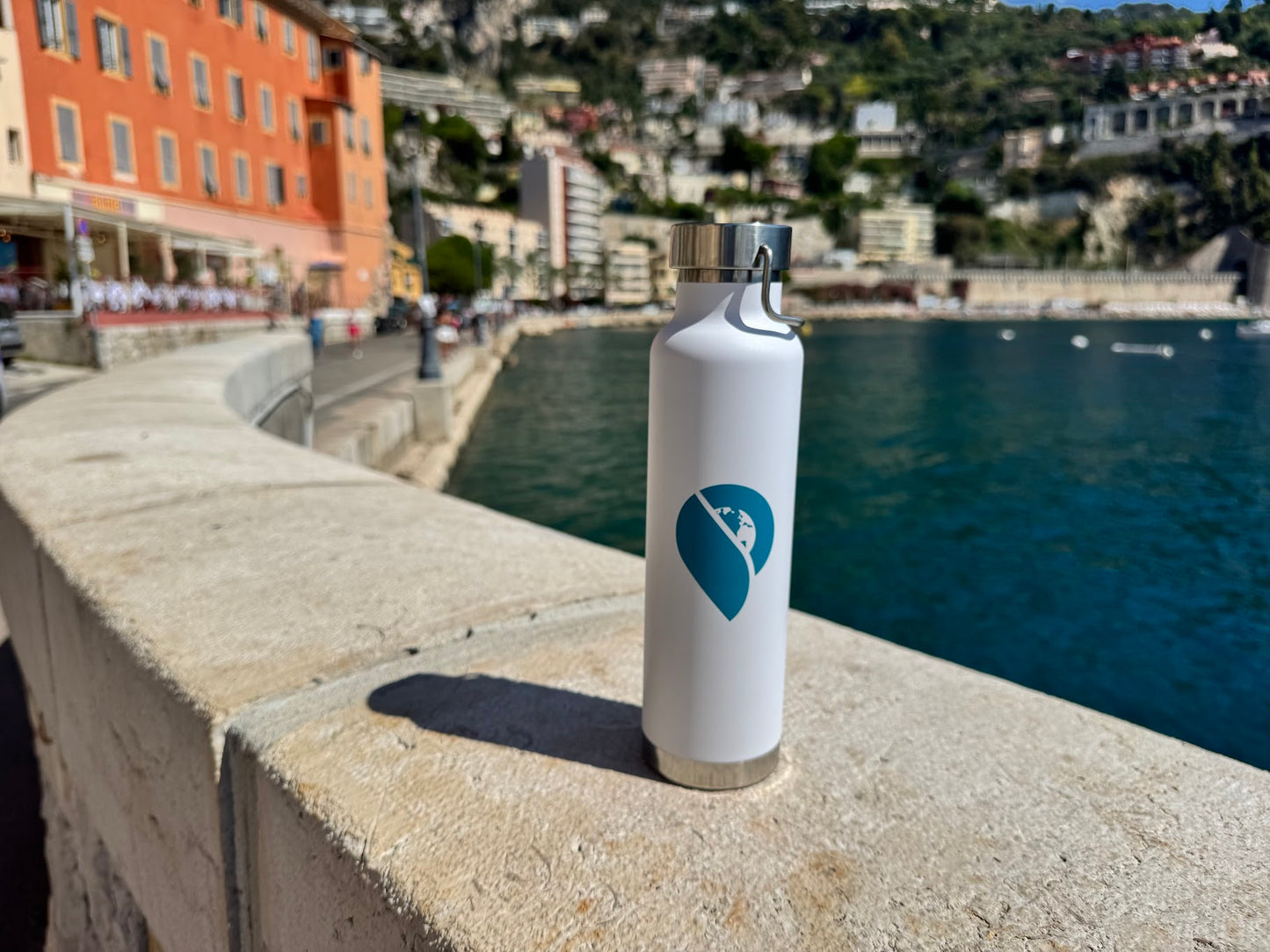 The Cruise Globe Insulated Water Bottle